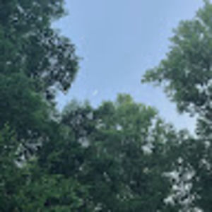 Meet your Posher, Madeleine